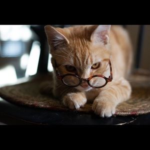 Meet your Posher, Aaron